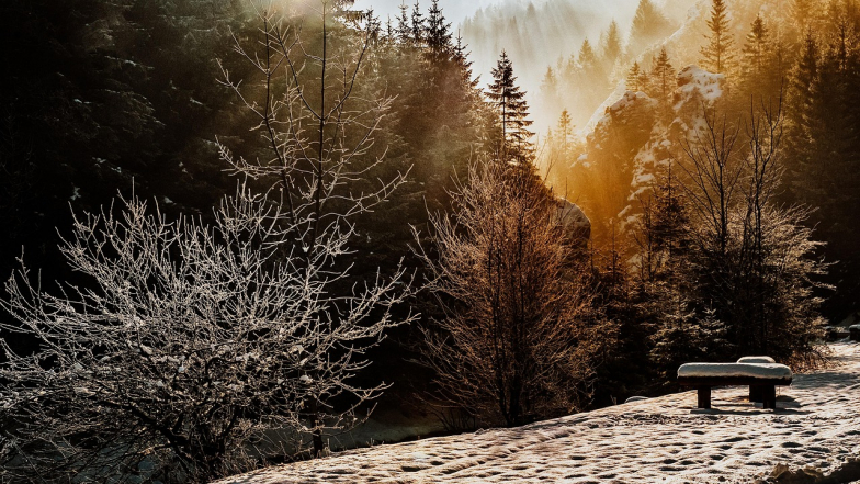 Погода в Киеве на субботу, 24 января