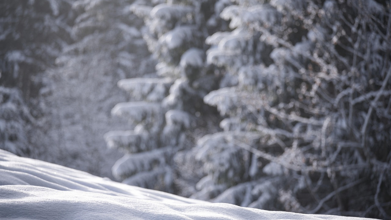 Погода во Львове на субботу, 24 января