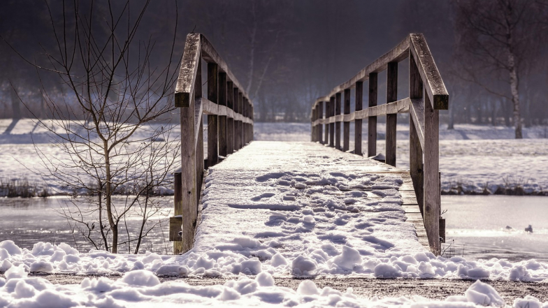 Погода на 24 января: врменами снег и мокрый снег, местами с дождем