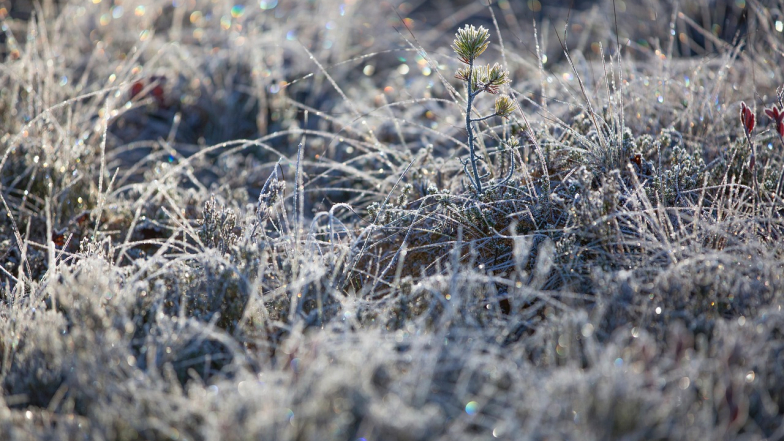 Погода во Львове на воскресенье, 25 января