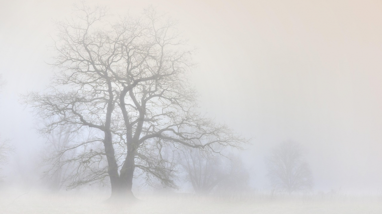 Прогноз погоди в Україні на тиждень: 26 січня – 1 лютого 2026