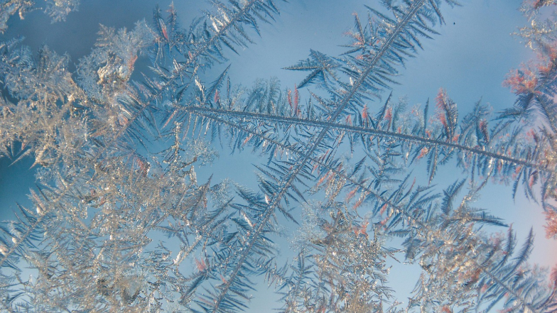 Погода в Україні на четвер, 5 лютого