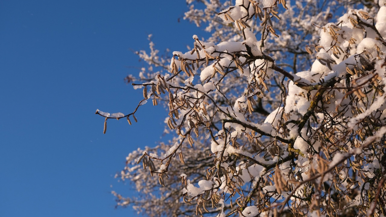 Pogoda w Polsce na czwartek, 5 lutego