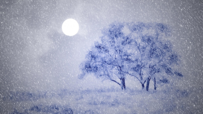 Погода у Львові на суботу, 7 лютого