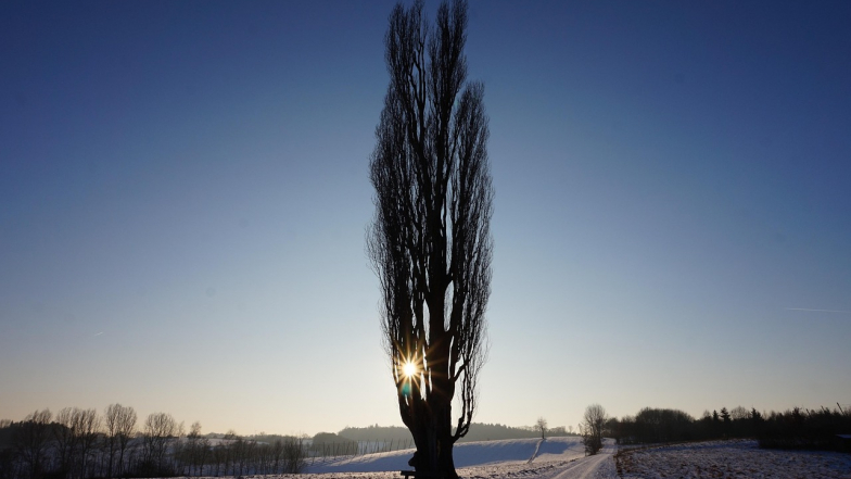 Погода в Україні на суботу, 7 лютого