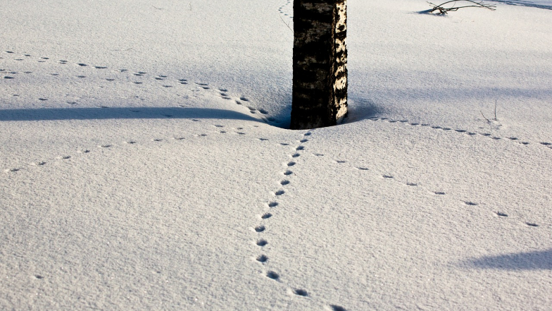 Погода в Украине на субботу, 7 февраля