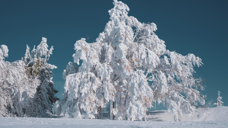 Прогноз погоди в Україні на тиждень: 9 – 15 лютого 2026
