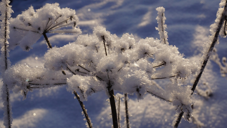 Погода в Украине на воскресенье, 8 февраля