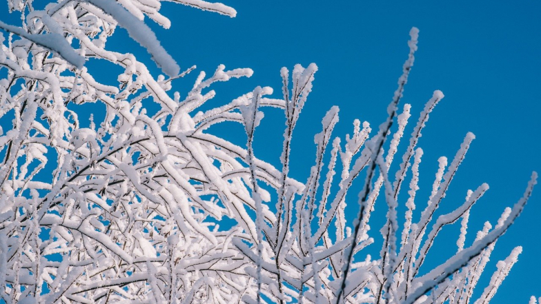 Погода в Одесі на вівторок, 10 лютого