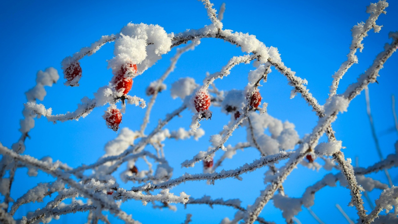 Погода в Украине на вторник, 10 февраля
