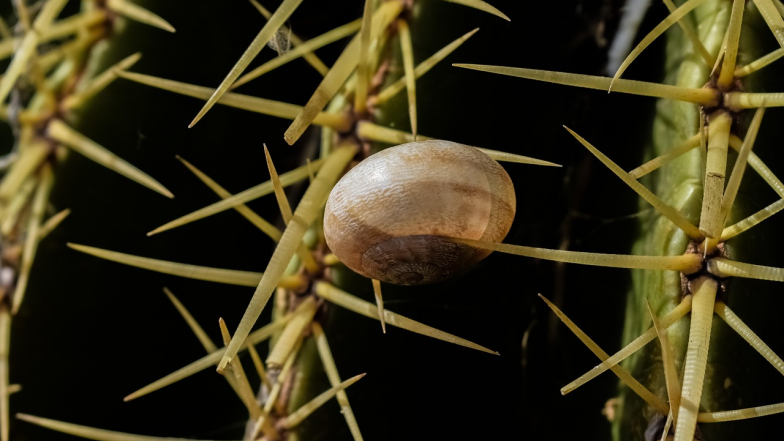Гороскоп на пятницу, 13 февраля