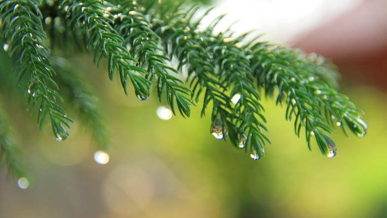 Прогноз погоди в Україні на вихідні: 14 – 15 лютого 2026