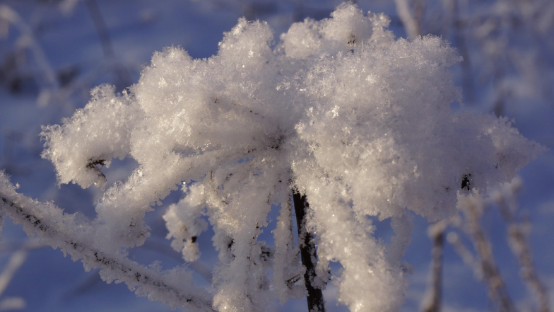 Погода на 17 февраля: без осадков, в западных областях ночью местами мокрый снег.