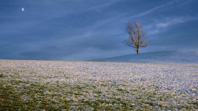 Погода в Украине на вторник, 17 февраля