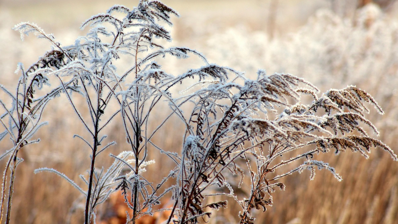 Погода на 18 февраля: потепление близится, но с осадками