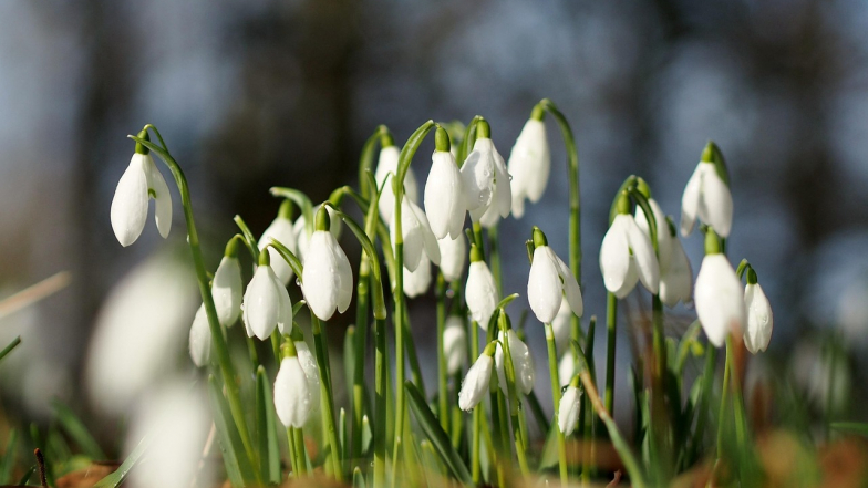 Прогноз погоди в Україні на вихідні: 28 лютого – 1 березня 2026