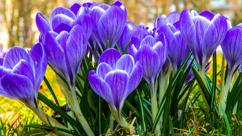 Прогноз погоды в Украине на неделю: 2 – 8 марта 2026