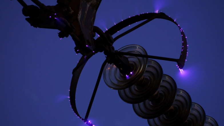 Деревья излучают микроразряды во время грозы