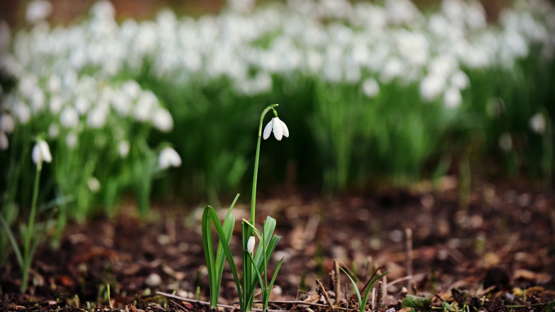 Погода 4 марта: на западе очень тепло