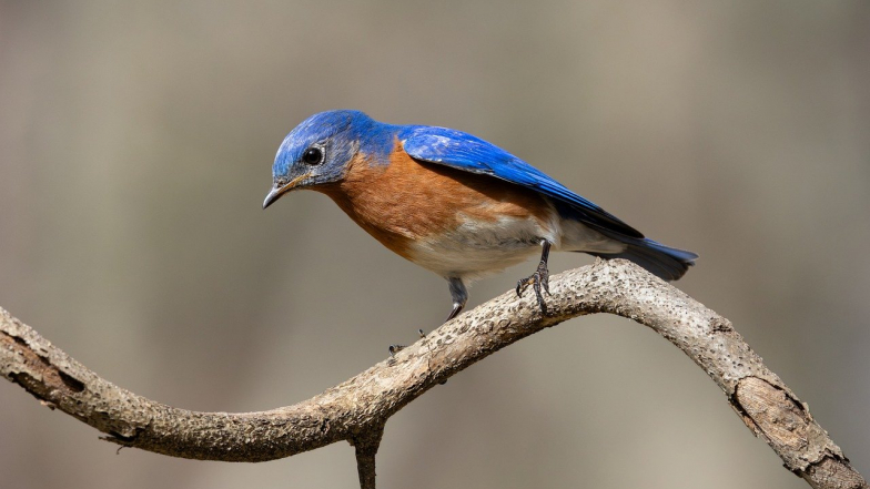 Pogoda w Polsce na czwartek, 5 marca