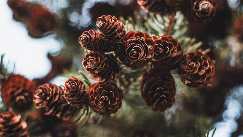 Погода у Львові на п'ятницю, 6 березня