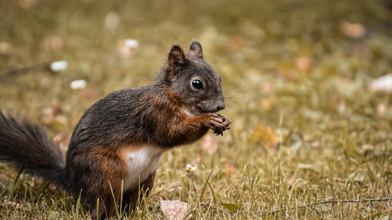 Pogoda w Polsce na piątek, 6 marca