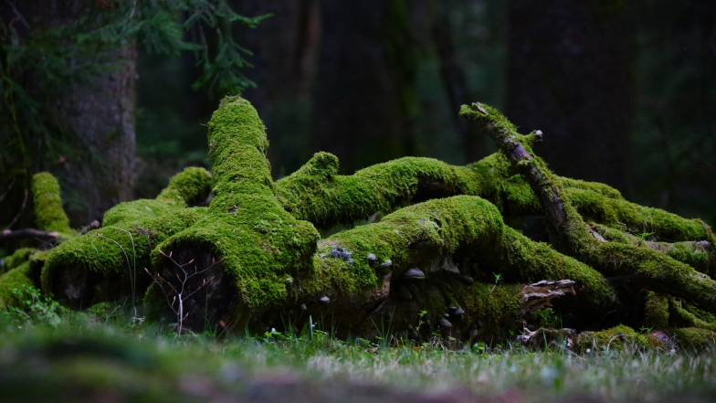 Погода в Украине на субботу, 7 марта