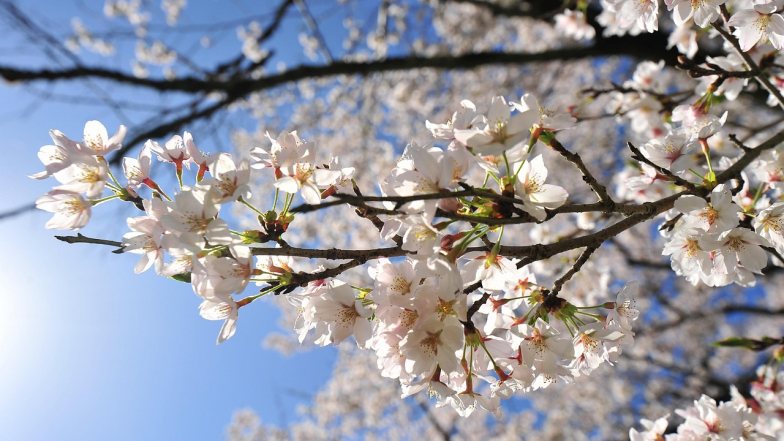 Прогноз погоды в Украине на неделю: 9 – 15 марта 2026