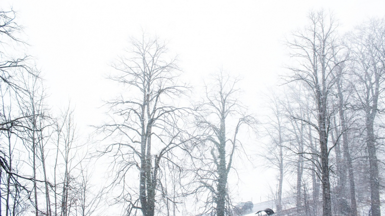 Погода у Львові на вівторок, 10 березня