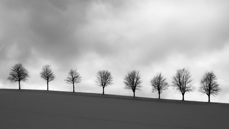 Погода во Львове на среду, 11 марта