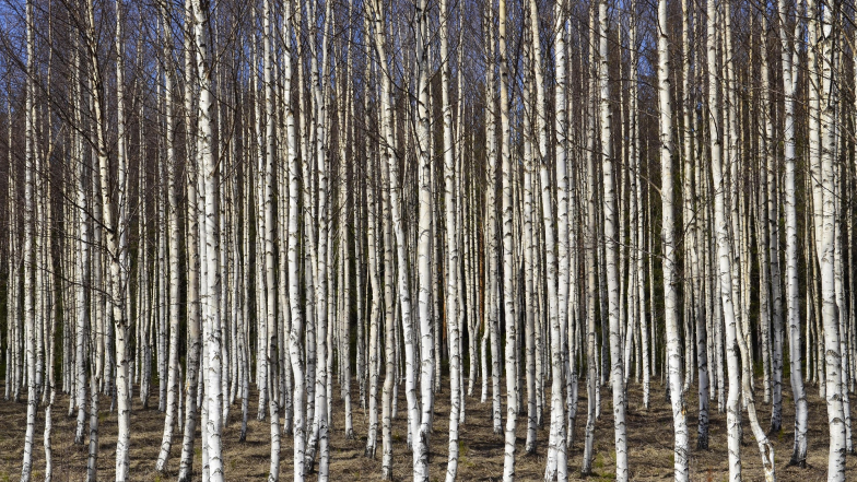 Pogoda w Polsce na piątek, 13 marca
