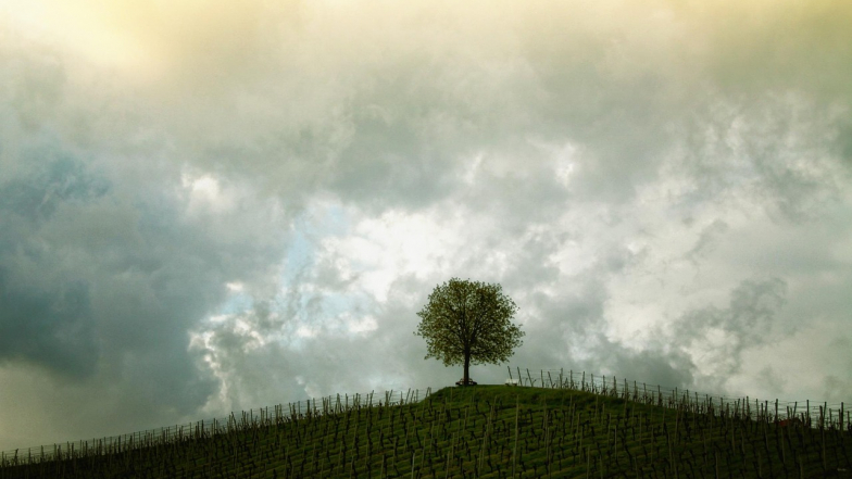 Погода 14-15 марта: сухая погода удержится, но похолодает