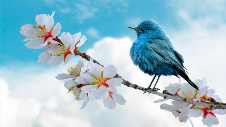 Прогноз погоды в Украине на выходные: 28 – 29 марта 2026