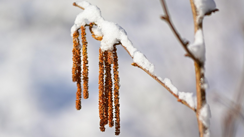 Прогноз погоди в Україні на тиждень: 6 – 12 квітня 2026