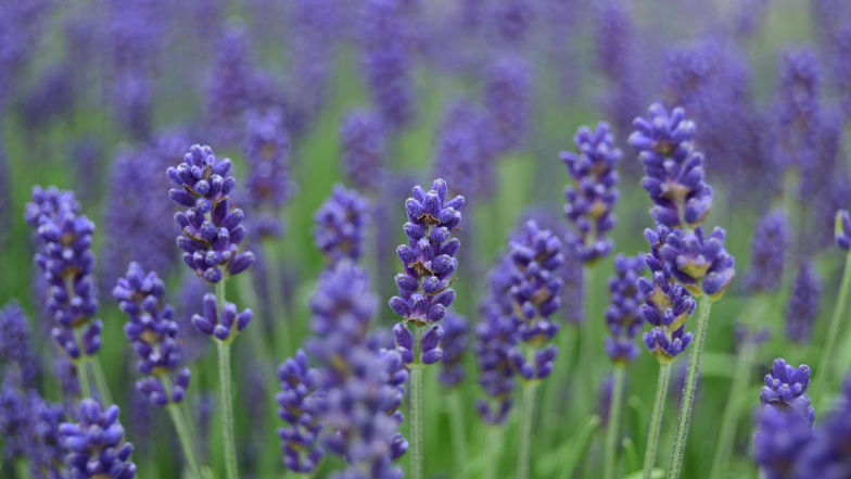 Погода в Києві на четвер, 9 квітня