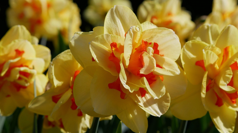 Погода в Одессе на четверг, 9 апреля