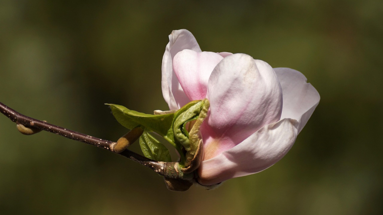 Погода в Україні на четвер, 9 квітня