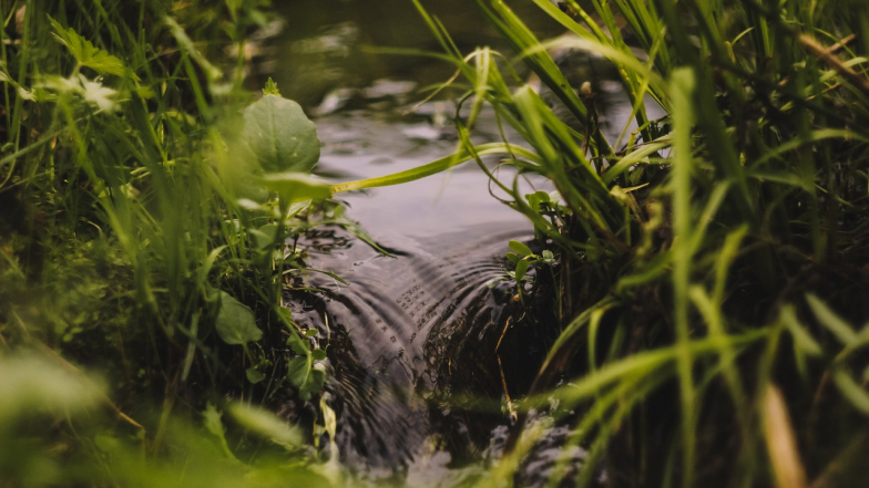 Погода в Киеве на четверг, 4 июня