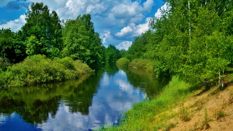 Погода в Украине на четверг, 4 июня
